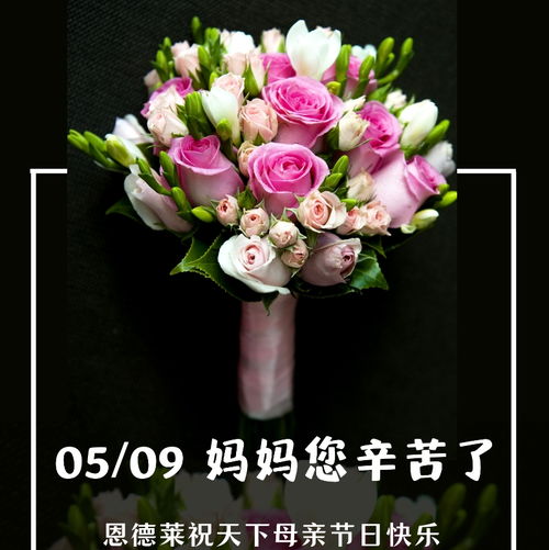 以愛之名，為母親撐起自由行走的天空——恩德萊石家莊公司致敬天下母親